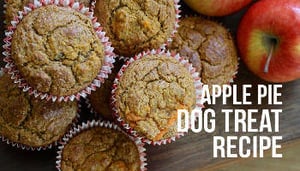 Apple Pie Dog Treats