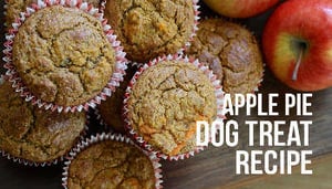 Apple Pie Dog Treats