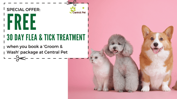 Central Pet Coupon for flea & tick treatment