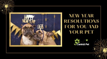 new year resolutions for you and your dog