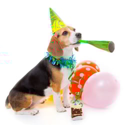 Fotolia_49621595_S
