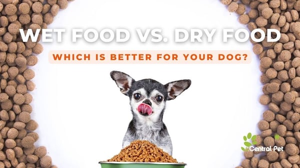 Dogs: Wet food vs. Dry Food-which is better? find out with the help of central pet az