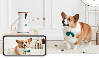 Furbo Dog Camera - Treat Tossing Camera