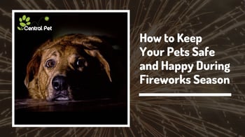 scared dog - keeping pets safe during firework seasons provided by central pet az