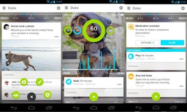 Whistle a pet tracker app 