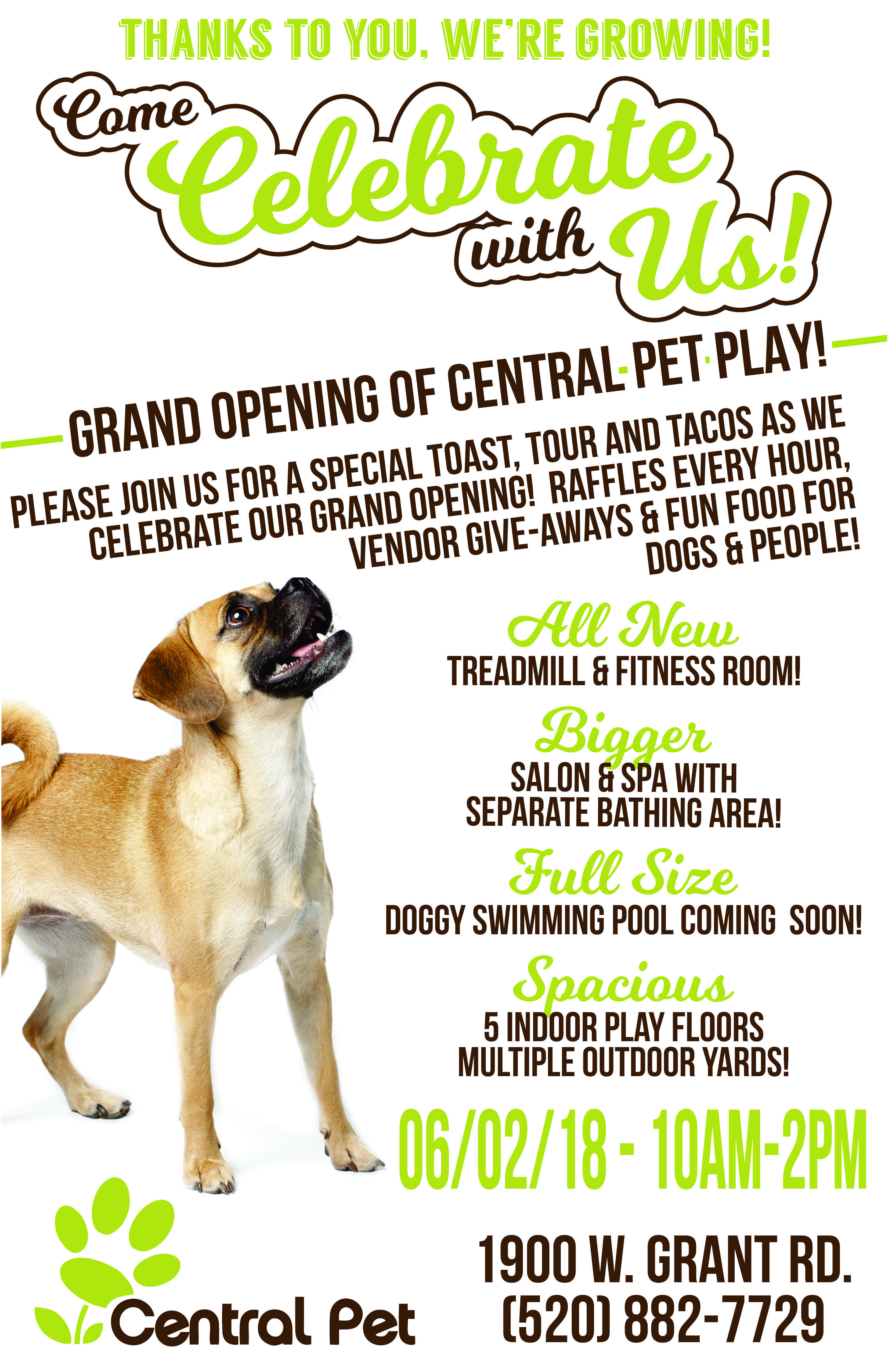 Grand Opening of Central Pet Play - Doggy Daycare in Tucson