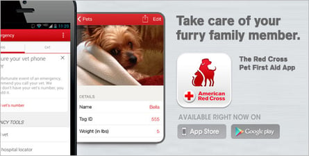 Pet First Aid Phone App for Pet Owners