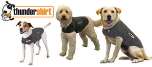 thundershirt for dogs