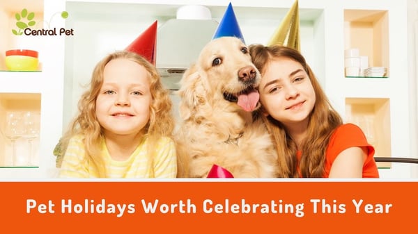 pet holidays that are worth celebrating this year