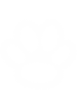 Arizonas Premier Pet Resort