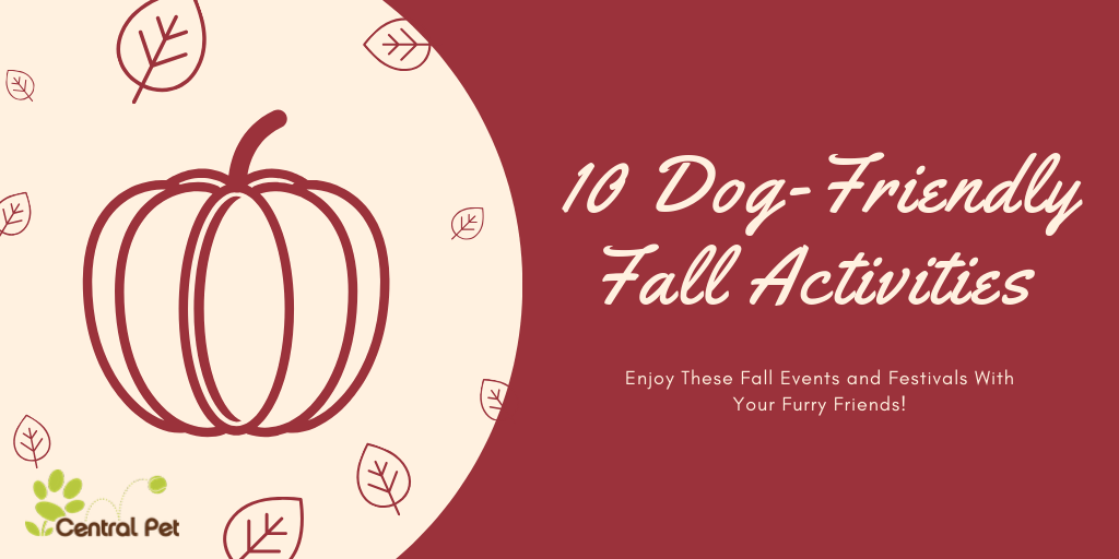 10 Fall Activities in Arizona You and Your Dog Can Enjoy Together (Clone)