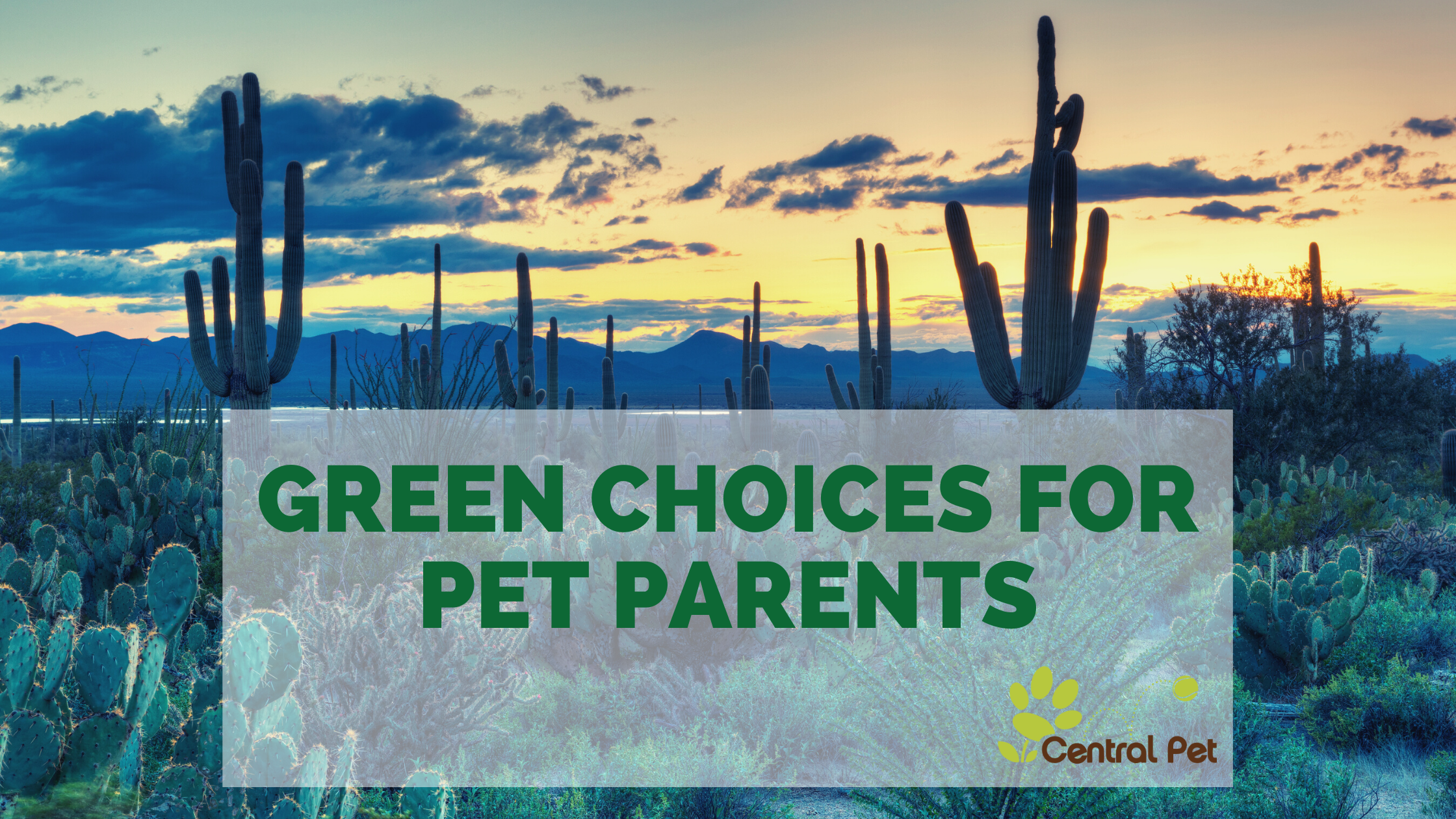 Green Choices for Pet Parents