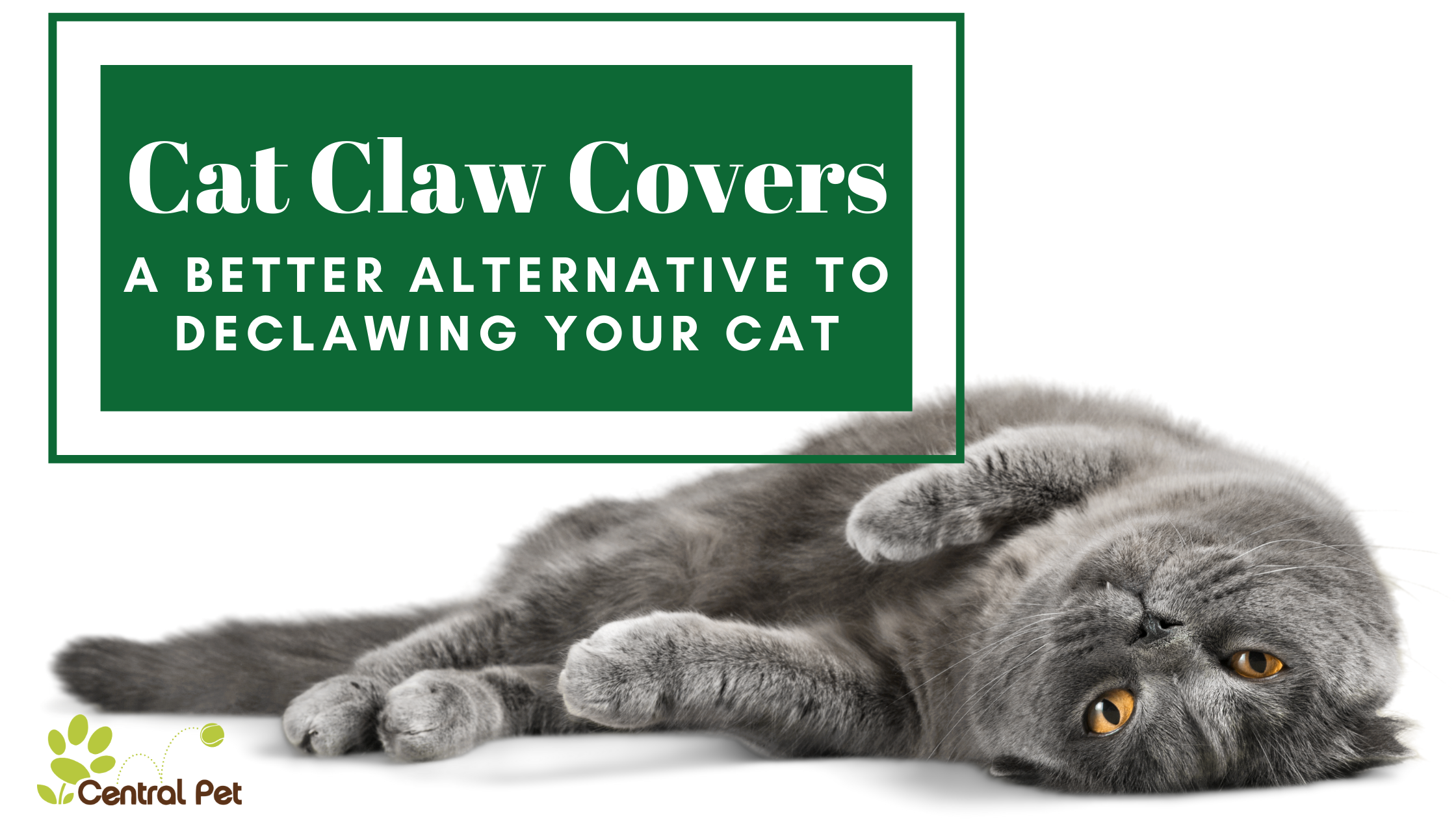 Cat Claw Covers: A Better Alternative To Declawing Your Cat
