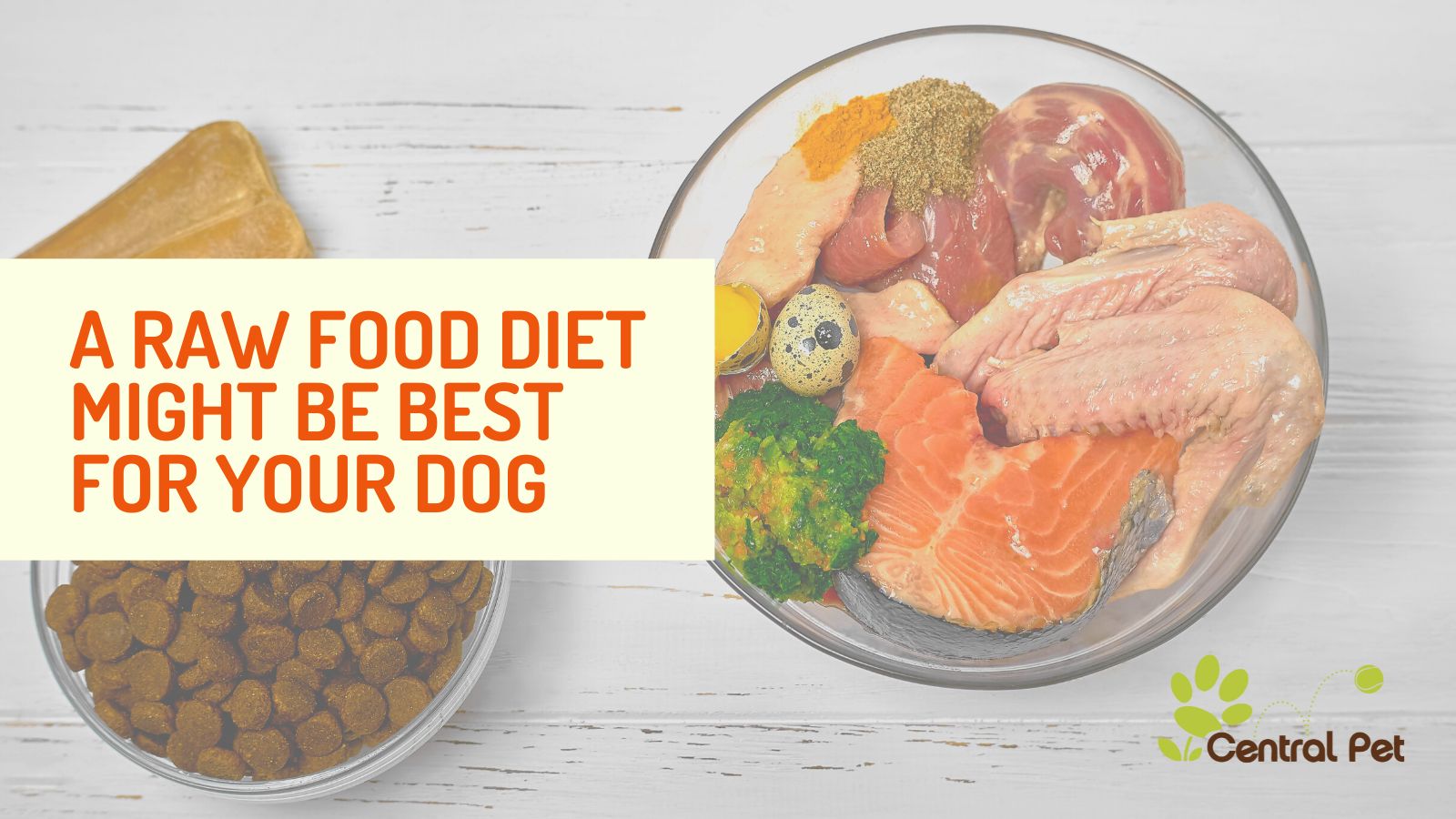 A Raw Food Diet Might Benefit Your Dog: What to Know Before Switching