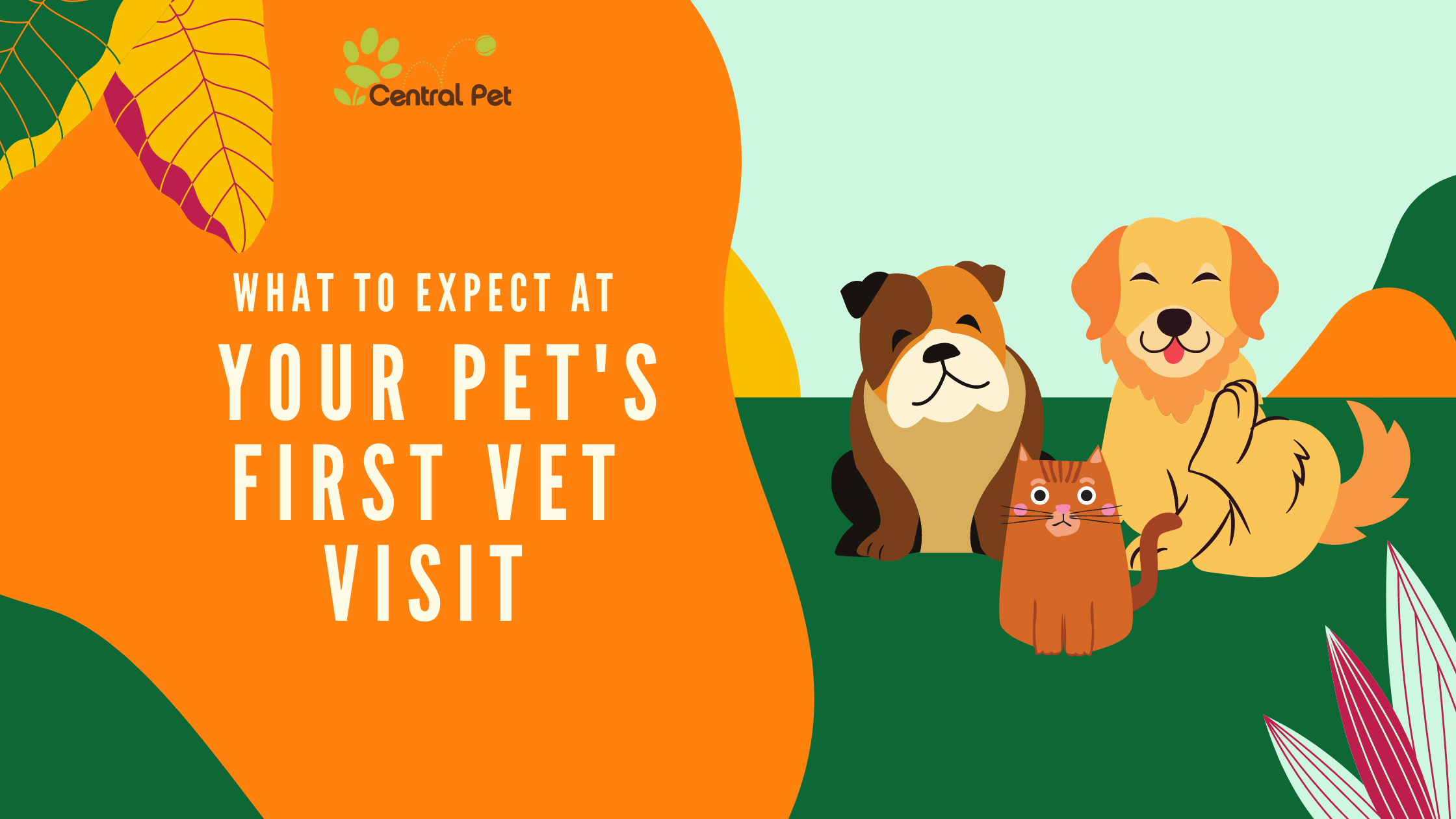 What to Expect at Your Pet's First Vet Visit