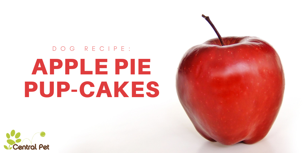 Easy Dog Treat Recipe: Apple Pie Pup-Cakes
