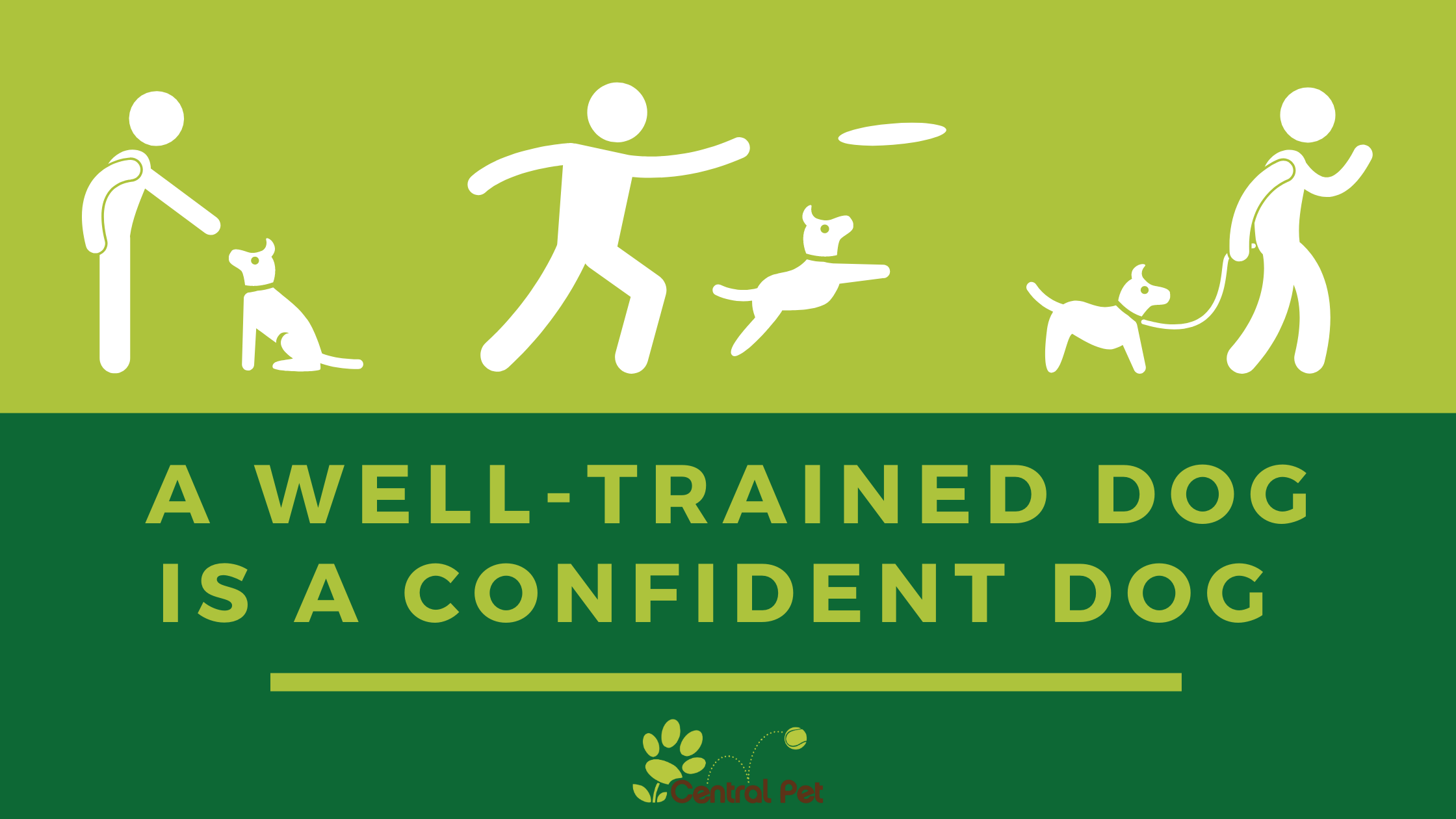 A Well-Trained Dog is a Confident Dog