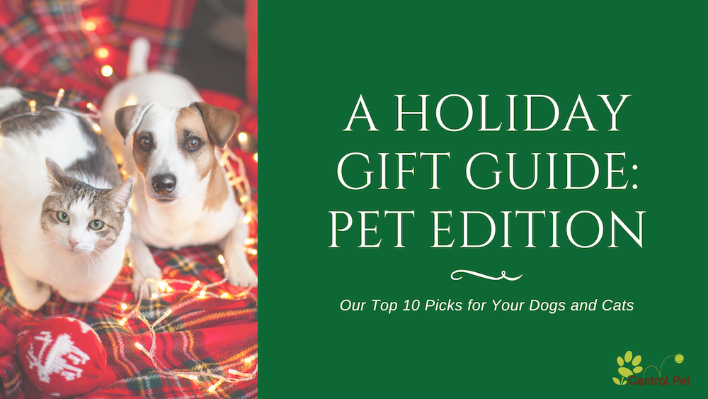 A Holiday Gift Guide: Pet Edition