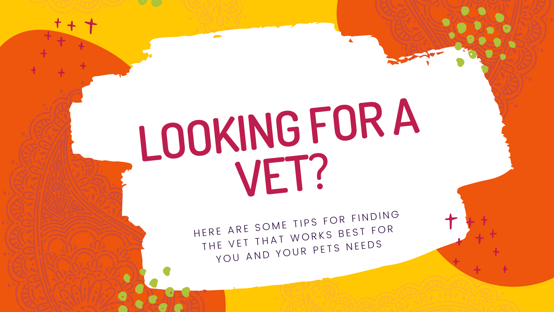 Tips for Choosing a Vet