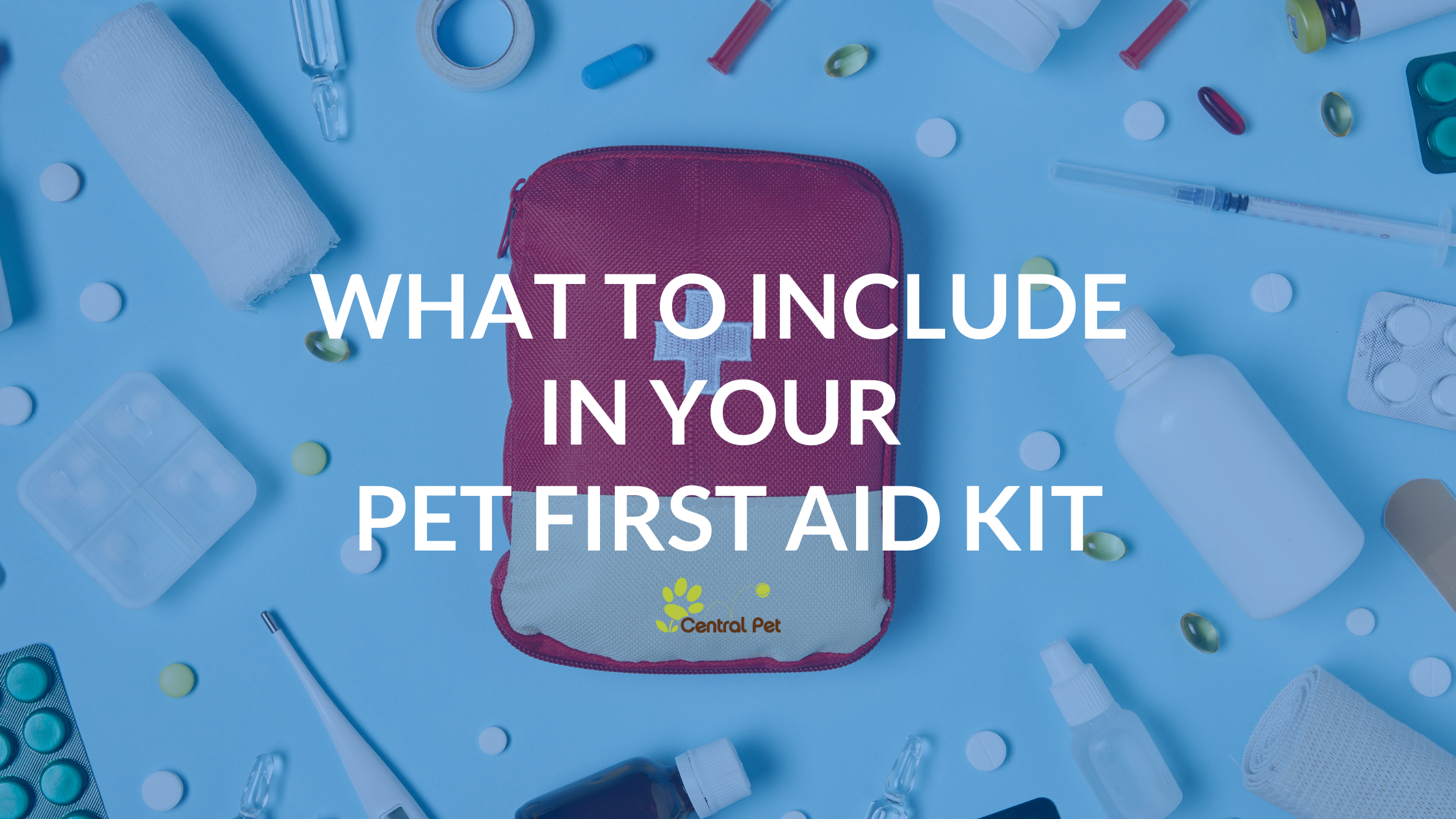 What to Include In Your Pet First Aid Kit