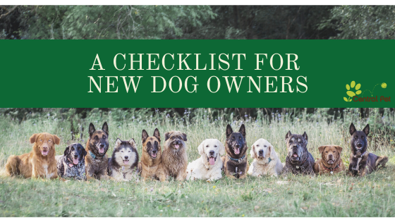 A Checklist for New Dog Owners
