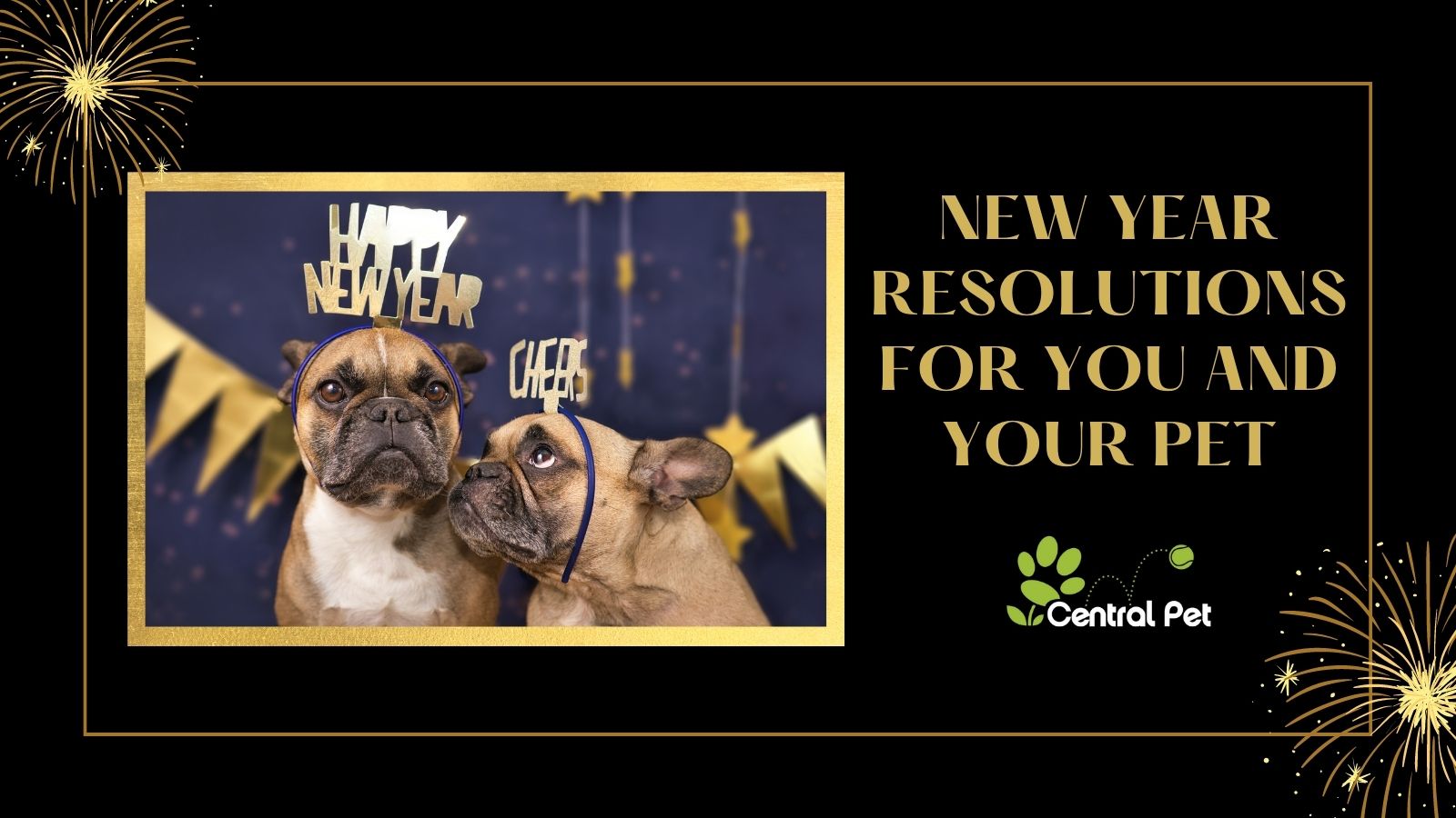 7 New Year’s Resolutions You and Your Pet Can Benefit From