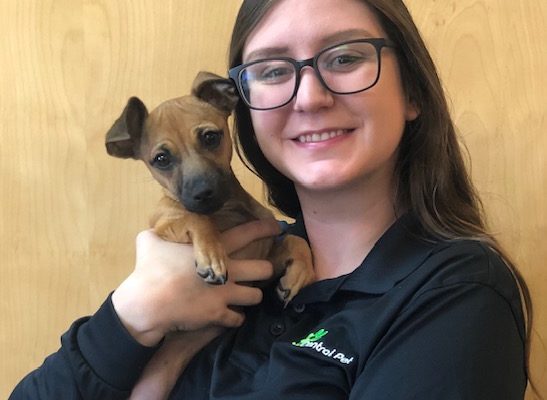 Talia Gomez of Central Pet Amado