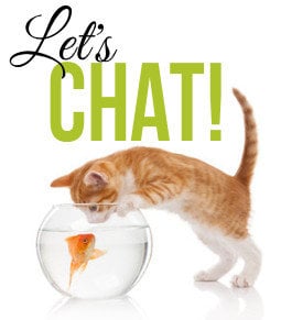 Chat