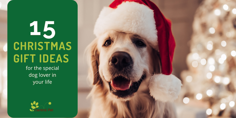 10 Christmas Gift Ideas For The Special Pets In Your Life