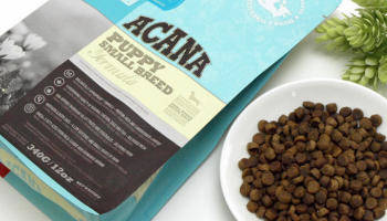 Now at Central Pet: Acana Dog Food