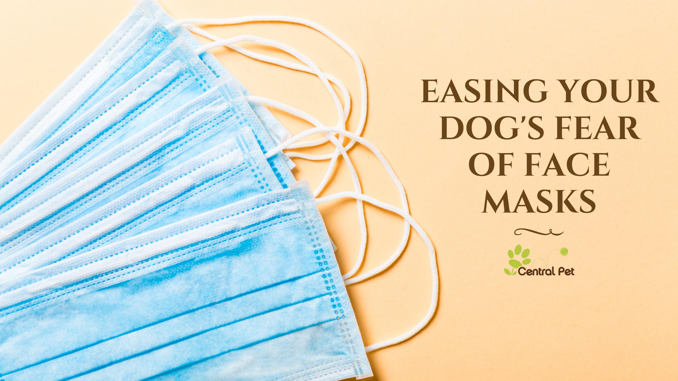 Helping Your Dog Overcome Fear of Face Masks