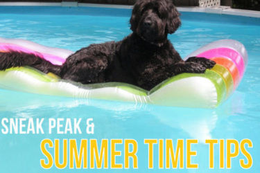 Sneak Peek & Summer Time Tips